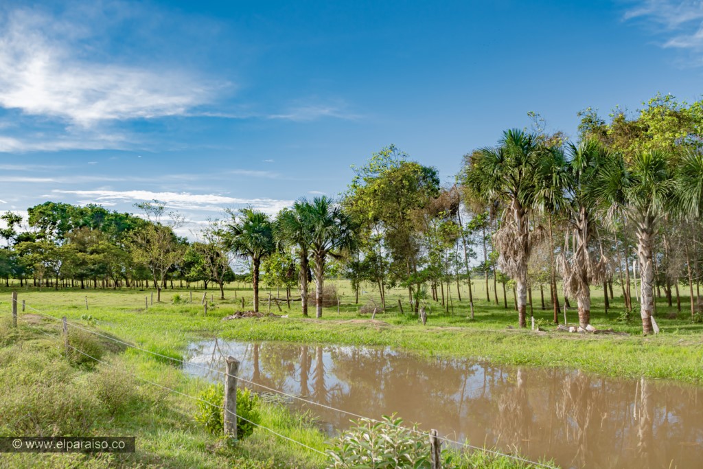 Foto de la finca