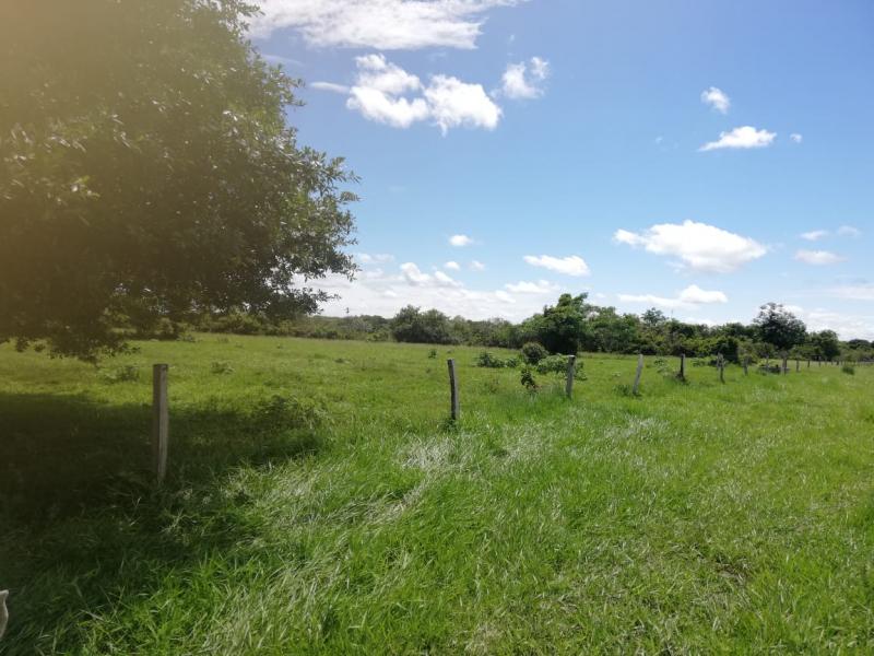 Foto de la finca