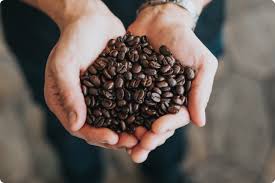 Café de la mejor Calidad del Llano x Libra